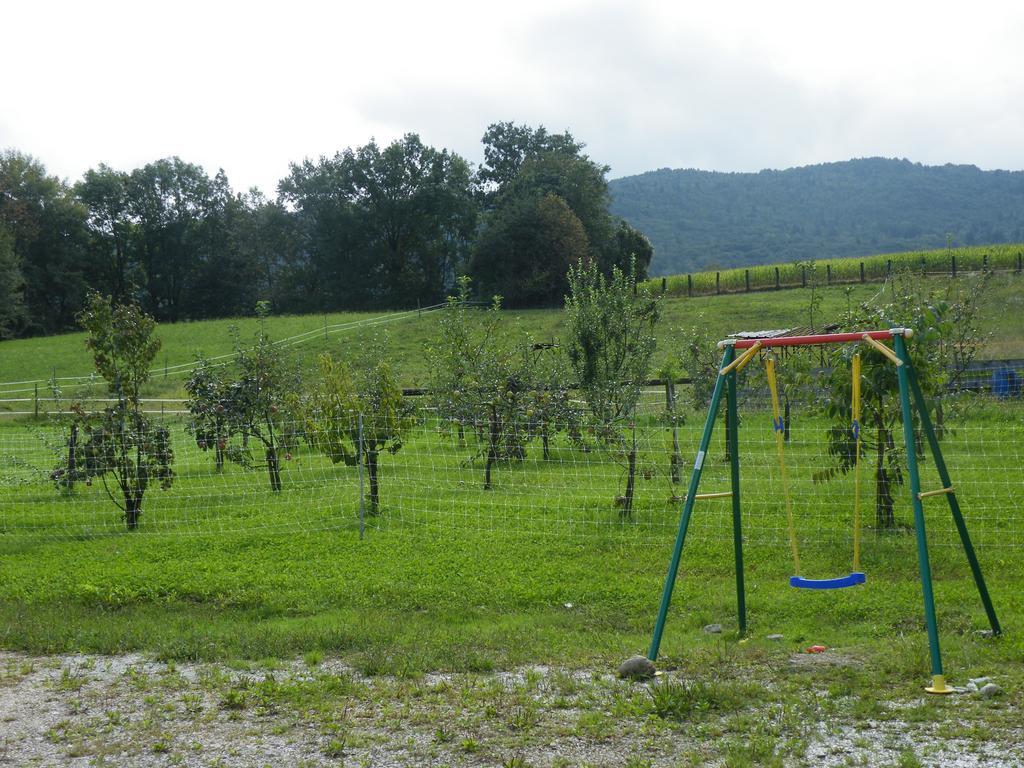 Agriturismo Al Bachero Belluno Kültér fotó