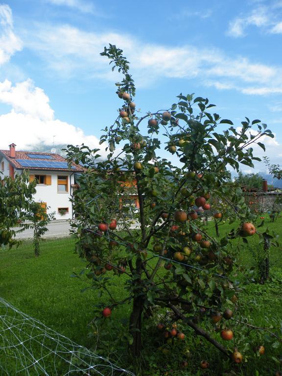 Agriturismo Al Bachero Belluno Kültér fotó