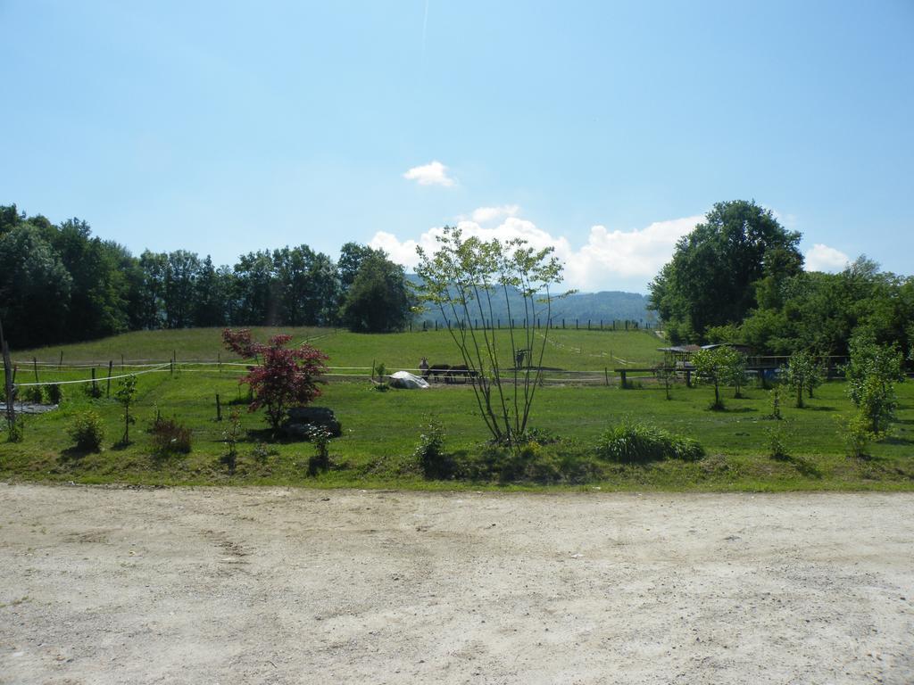 Agriturismo Al Bachero Belluno Kültér fotó