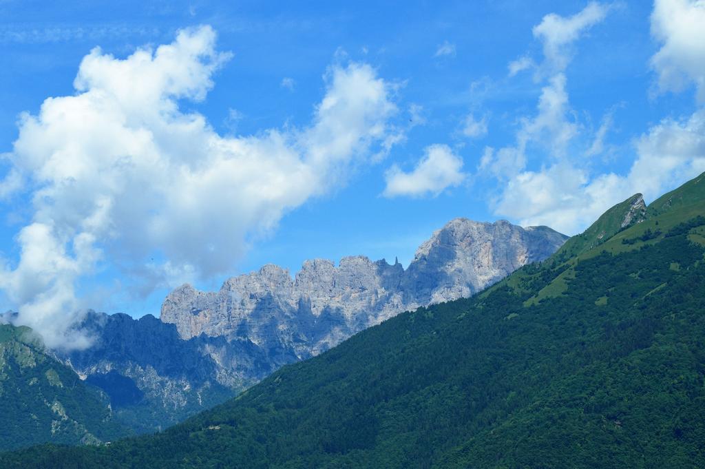 Agriturismo Al Bachero Belluno Kültér fotó